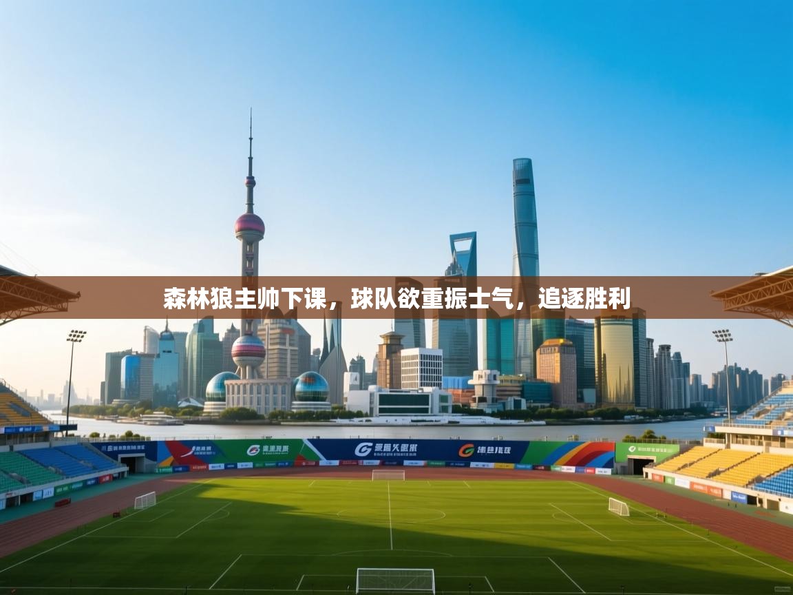 森林狼主帅下课，球队欲重振士气，追逐胜利  第1张