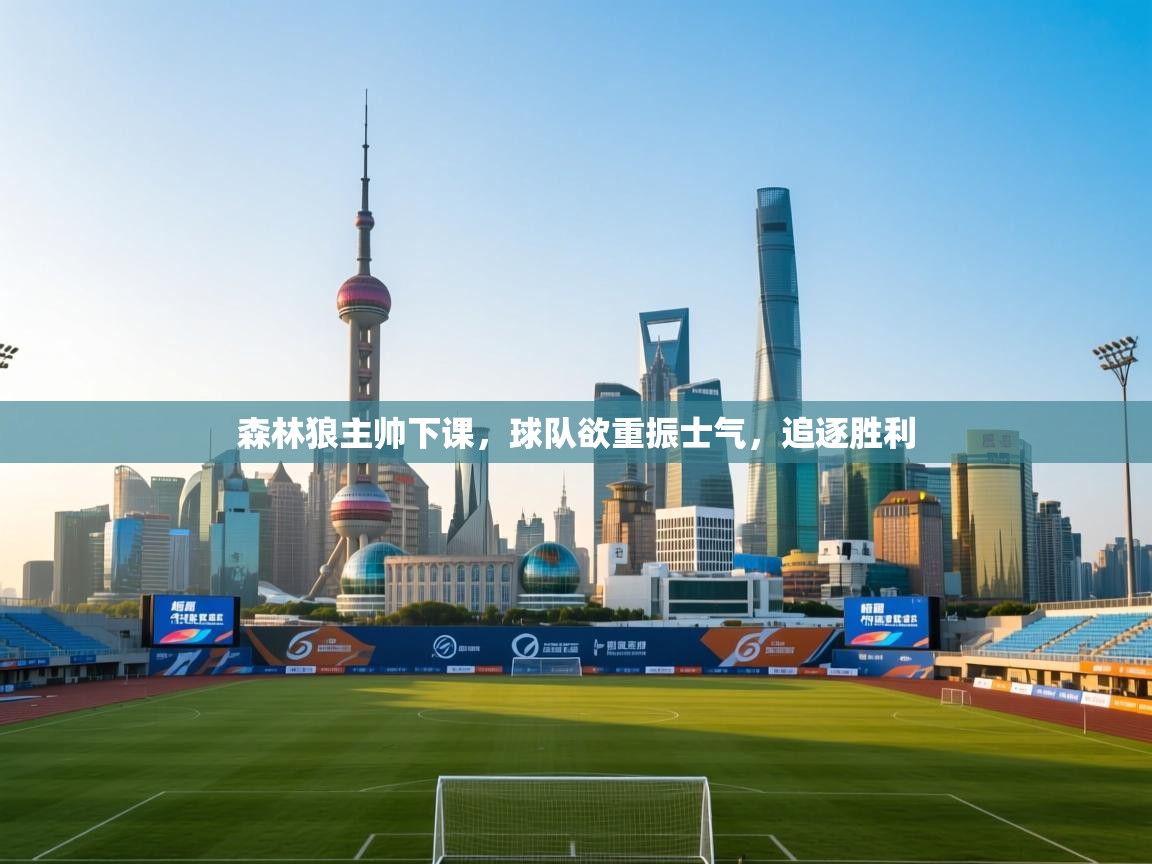 森林狼主帅下课，球队欲重振士气，追逐胜利  第2张