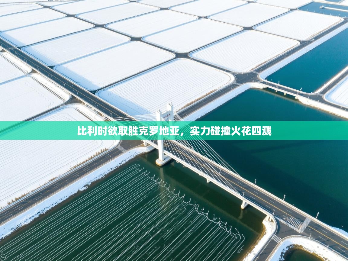 比利时欲取胜克罗地亚，实力碰撞火花四溅  第1张