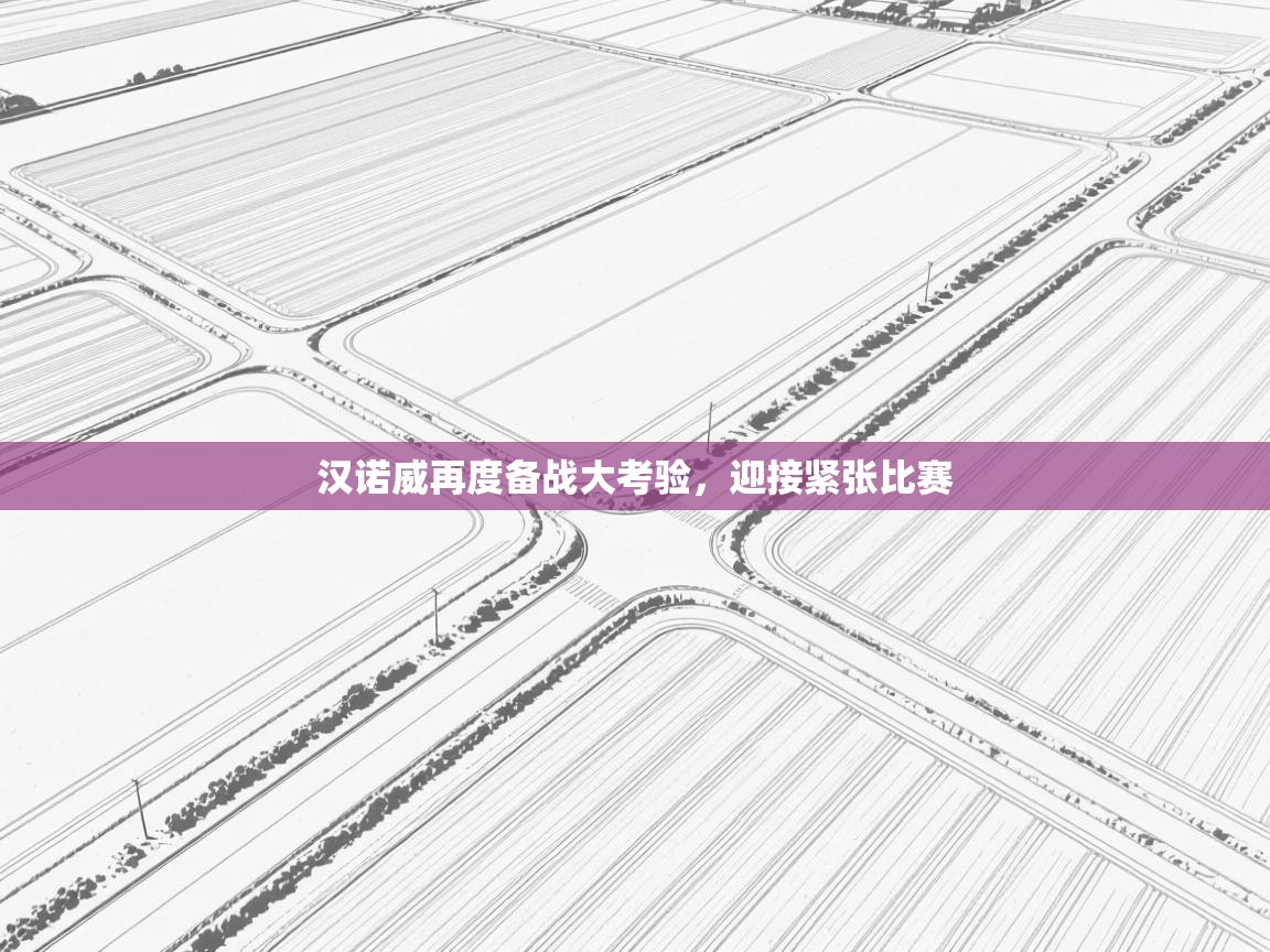 汉诺威再度备战大考验，迎接紧张比赛  第2张