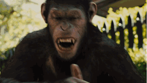 米乐体育官网首页-关于瓦伦西亚主场告捷，晋级前景蒙上一层光的信息