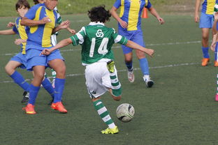 米乐体育官网-湖南湘涛客场不敌武汉卓尔，客场遭遇失利，湖南湘涛俱乐部新消息